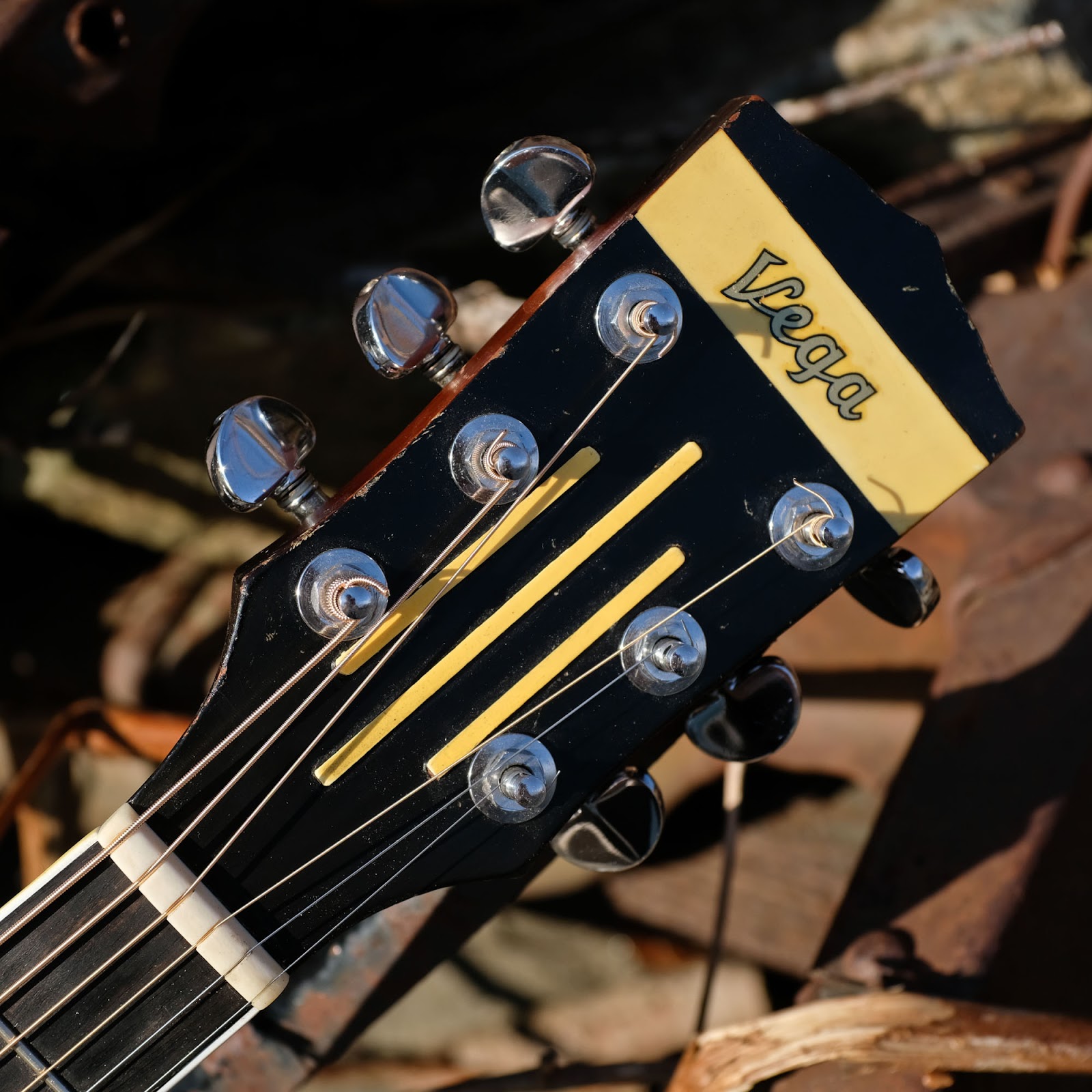 vega guitar serial numbers